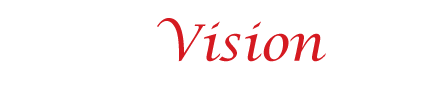 WordVisionInfo Logo